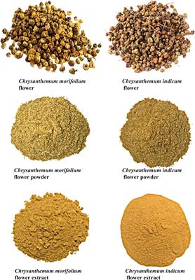 An Effective Workflow for Differentiating the Same Genus Herbs of Chrysanthemum morifolium Flower and Chrysanthemum Indicum Flower